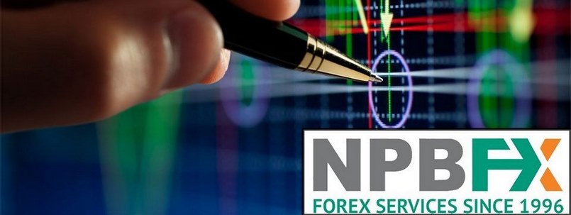 Tổng quan về sàn giao dịch NPBFX trên thị trường