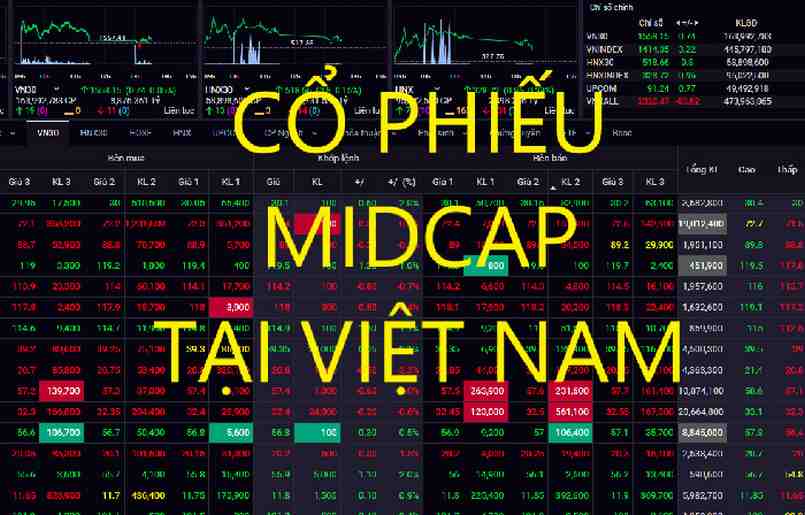 Cổ phiếu Midcap tại Việt Nam