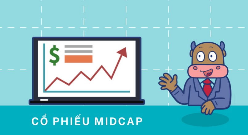 Midcap phù hợp với những nhà đầu tư vốn nhỏ