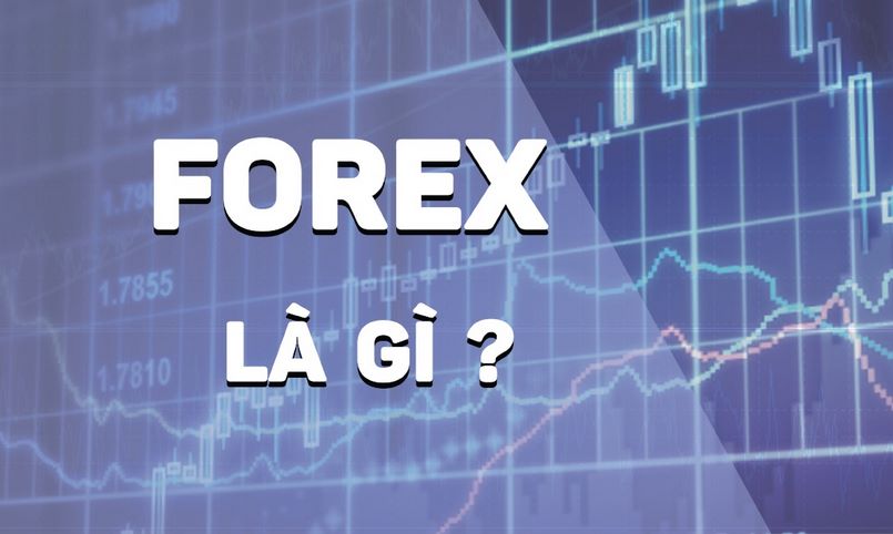 Đặc điểm của thị trường Forex là gì?